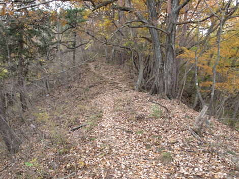 20181126hike (42)